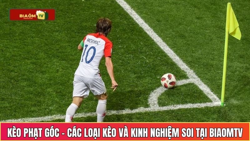 keo phat goc cac loai keo va kinh nghiem soi tai biaomtv