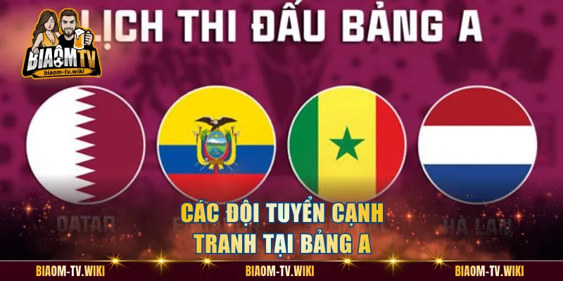 Các đội tuyển cạnh tranh tại bảng A