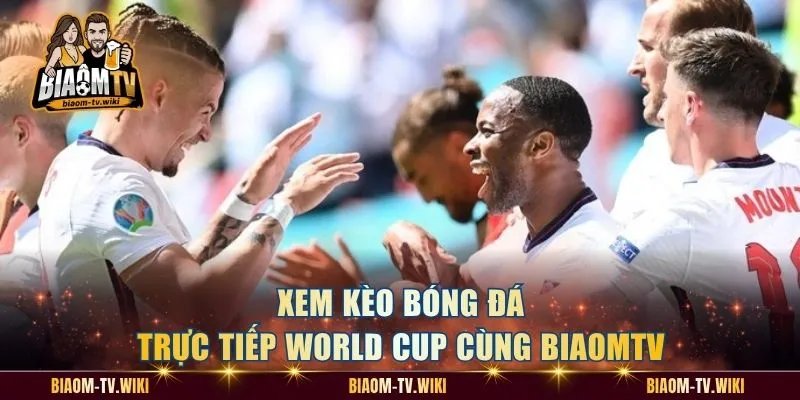 Xem kèo bóng đá trực tiếp World Cup cùng BiaomTV